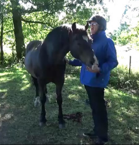 Man with Brown Horse Photo